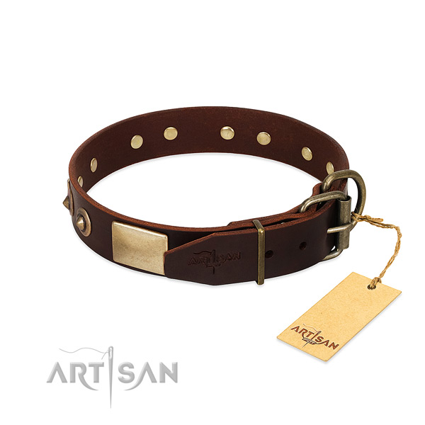 Strong buckle on comfortable wearing dog collar