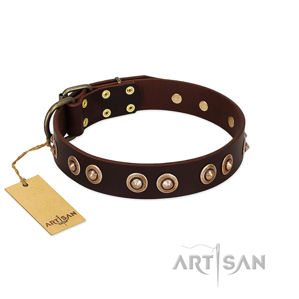 Reliable adornments on genuine leather dog collar for your canine