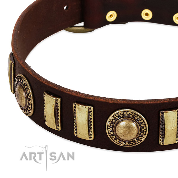 Gentle to touch leather dog collar with corrosion resistant buckle