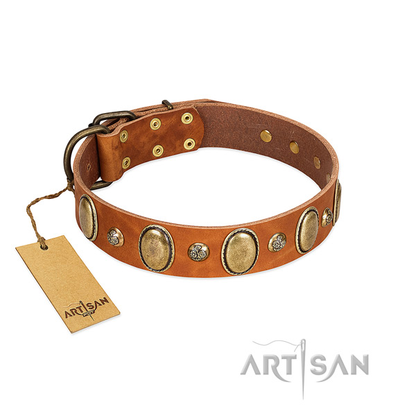 Full grain leather dog collar of gentle to touch material with top notch adornments
