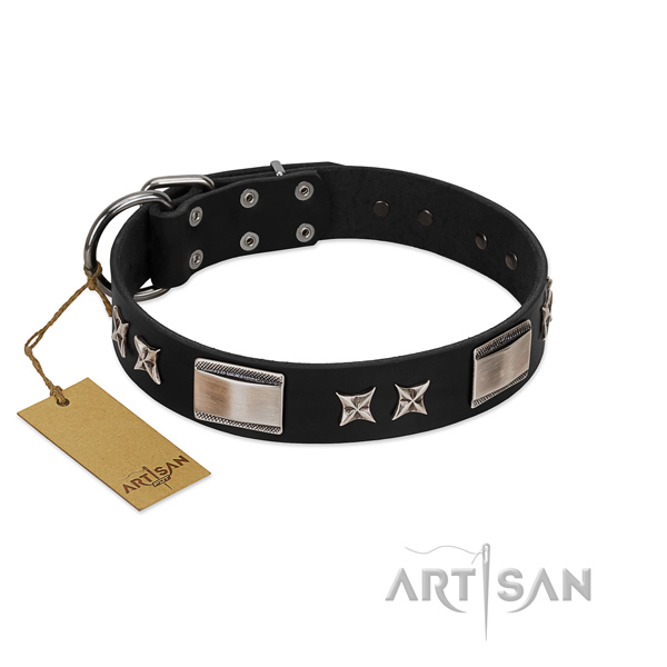 Significant dog collar of genuine leather