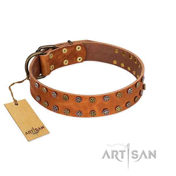 Easy wearing reliable natural leather dog collar with decorations
