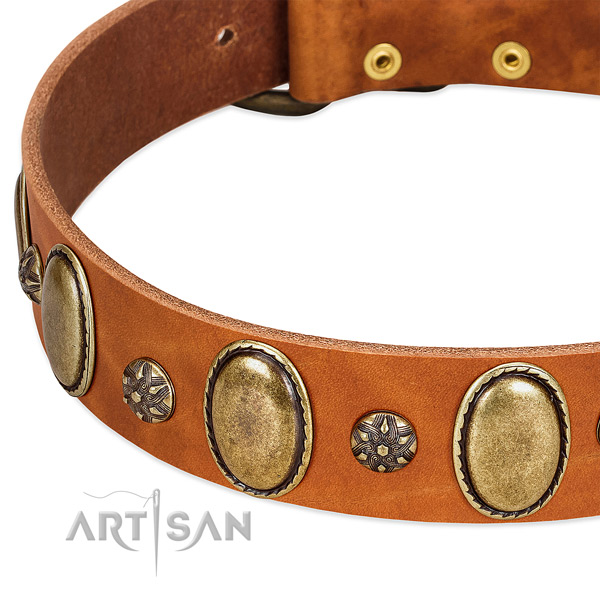 Everyday walking gentle to touch genuine leather dog collar