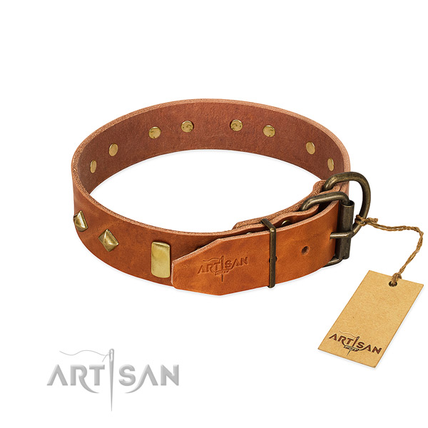 Comfy wearing genuine leather dog collar with impressive adornments