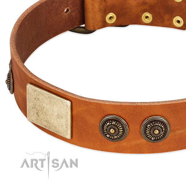 Stylish dog collar crafted for your stylish four-legged friend