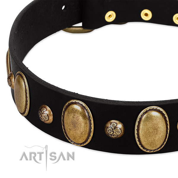 Natural leather dog collar with designer adornments