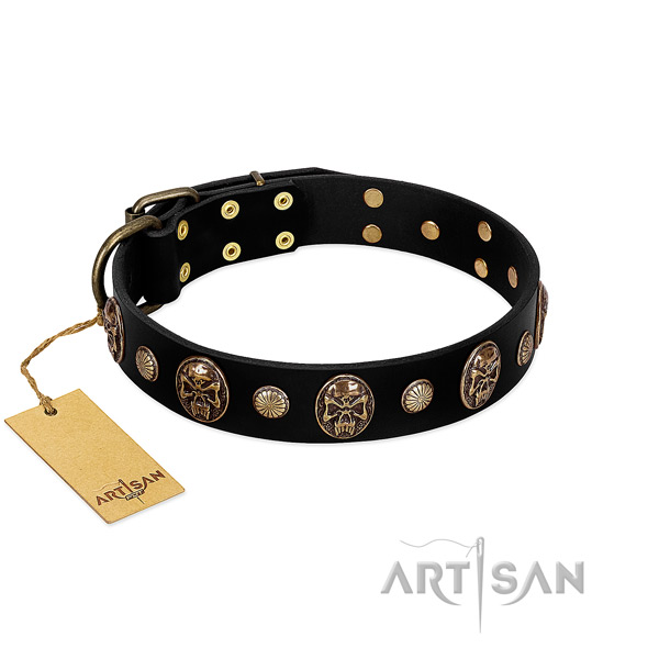 Full grain leather dog collar with corrosion proof adornments