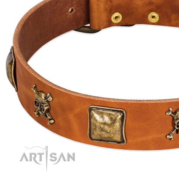 Stylish design embellishments on full grain natural leather collar for your four-legged friend